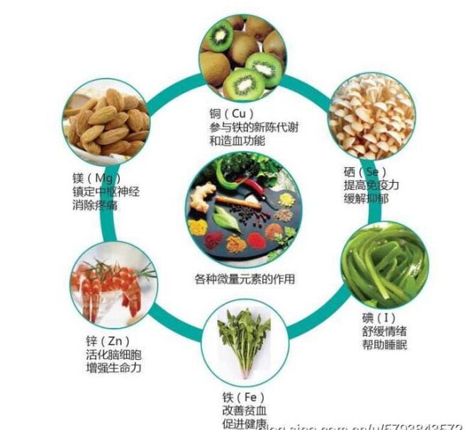 全自动微量元素分析仪分析头发检测的结果